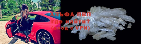 стафф Алексин