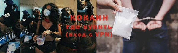 стафф Алексин