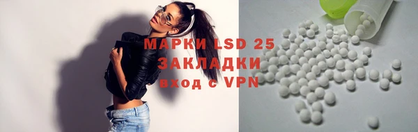 стафф Алексин